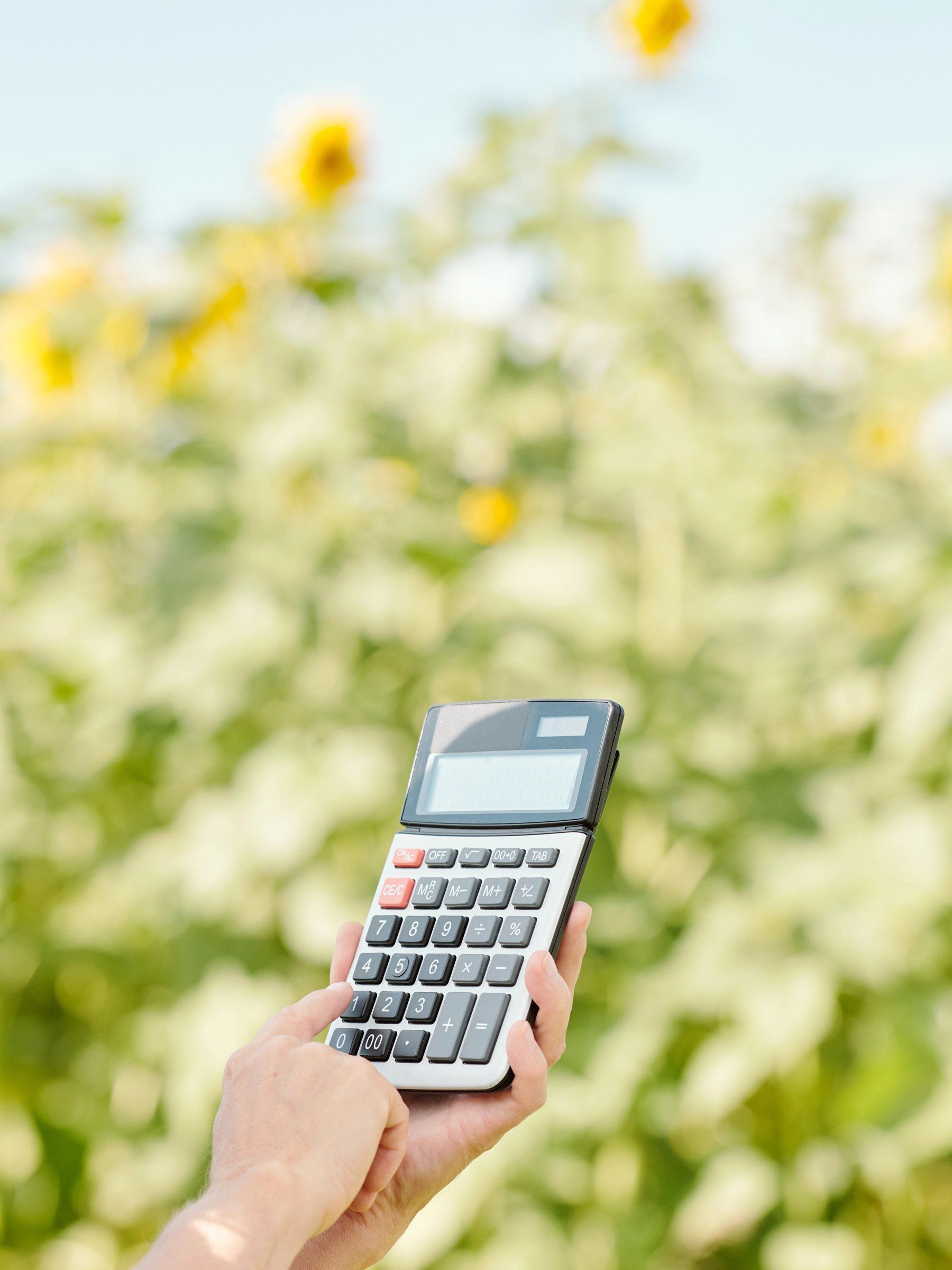 Calculatrice tenue en main devant un champ de tournesols en fleurs
